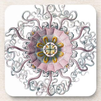 Pink starfish coaster