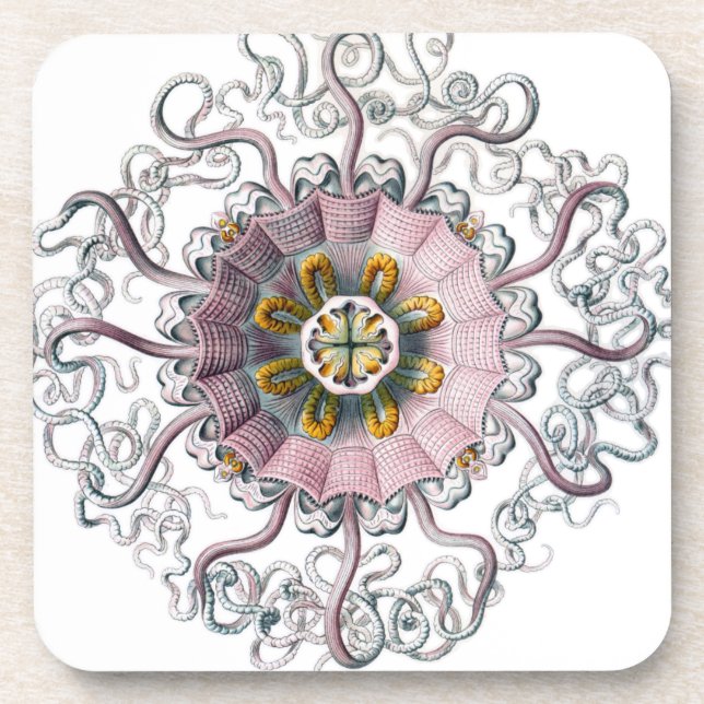 Pink starfish coaster (Front)