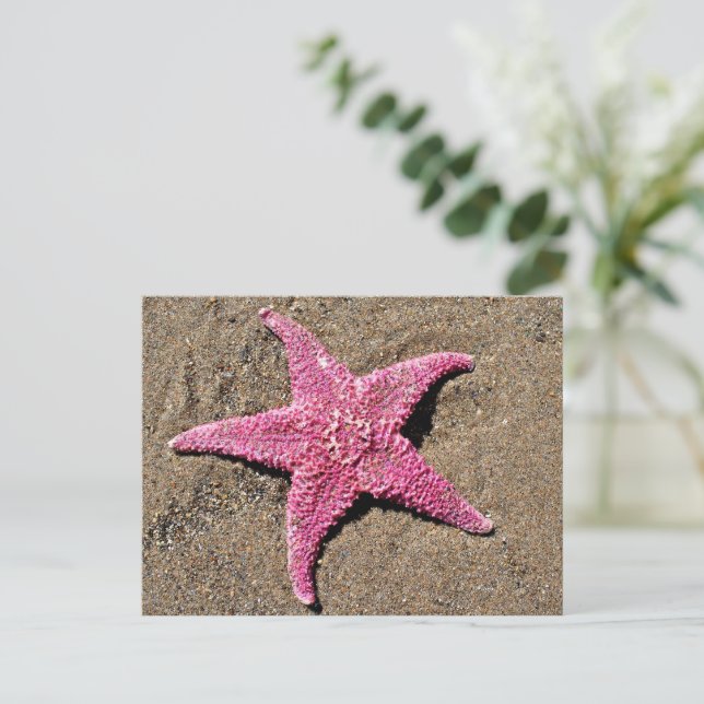 Pink Starfish Postcard (Standing Front)