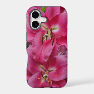 Pink stargazer lilies