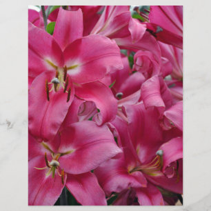 Pink stargazer lilies