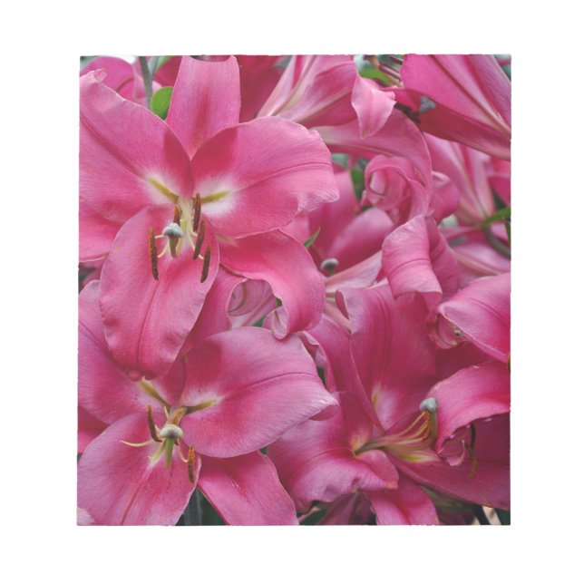 Pink stargazer lilies notepad (Front)