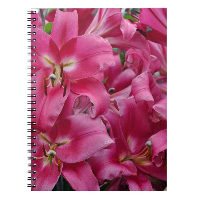 Pink stargazer lilies spiral notebook (Front)