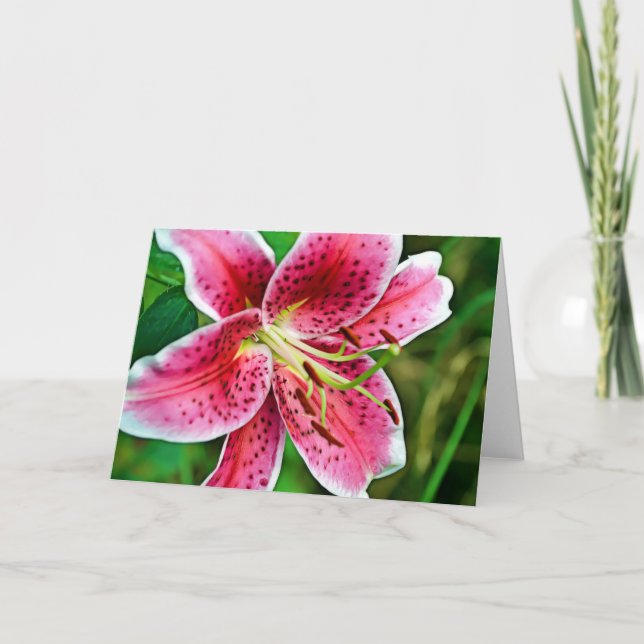 Pink Stargazer Lily Blank Card (Front)