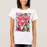 Pink stargazer lily flowers