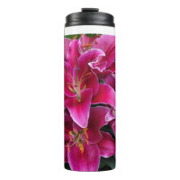 Pink stargazer lily flowers