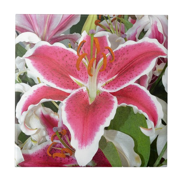 Pink stargazer lily flowers tile (Front)