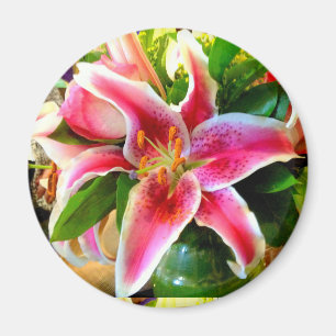 pink stargazer lily magnet