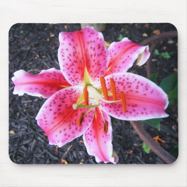 Pink Stargazer  Lily Mouse Pad (Front)