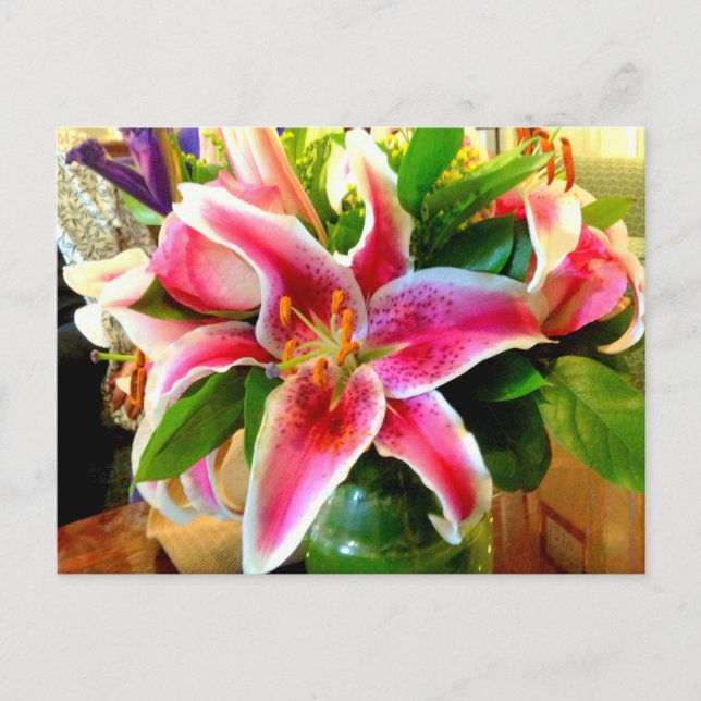 pink stargazer lily postcard (Front)
