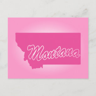Pink State Montana Postcard