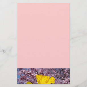Pink Stationery Tree Blossoms Spring Daffodils
