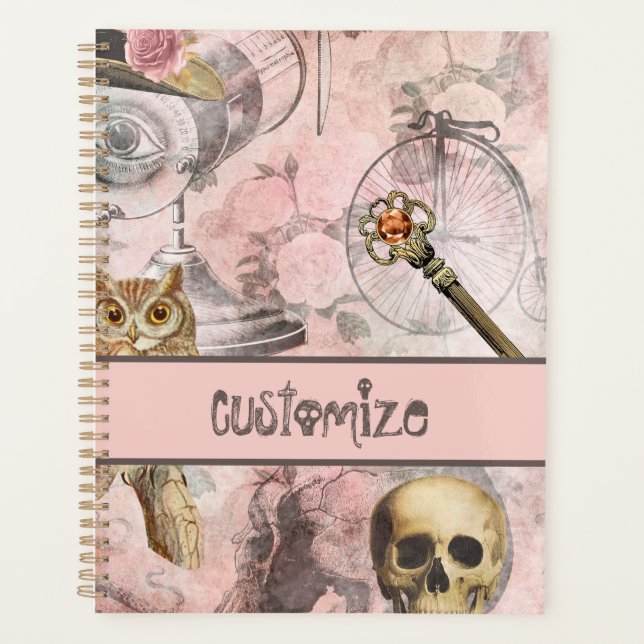 Pink Steam Punk Retro Goth Owl Keys Planner (Front)