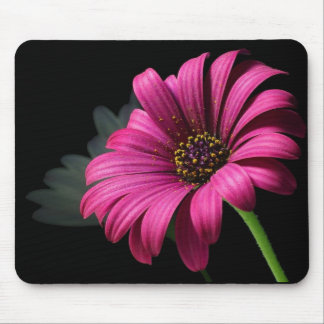 PINK STUDIO DAISY MOUSE PAD