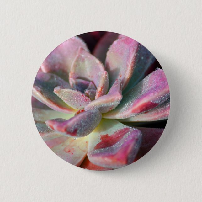 Pink Succulent 6 Cm Round Badge (Front)