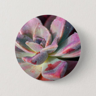 Pink Succulent 6 Cm Round Badge