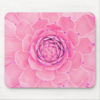Pink succulent plant mouse pad