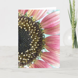 Pink Sunflower Greeting Card