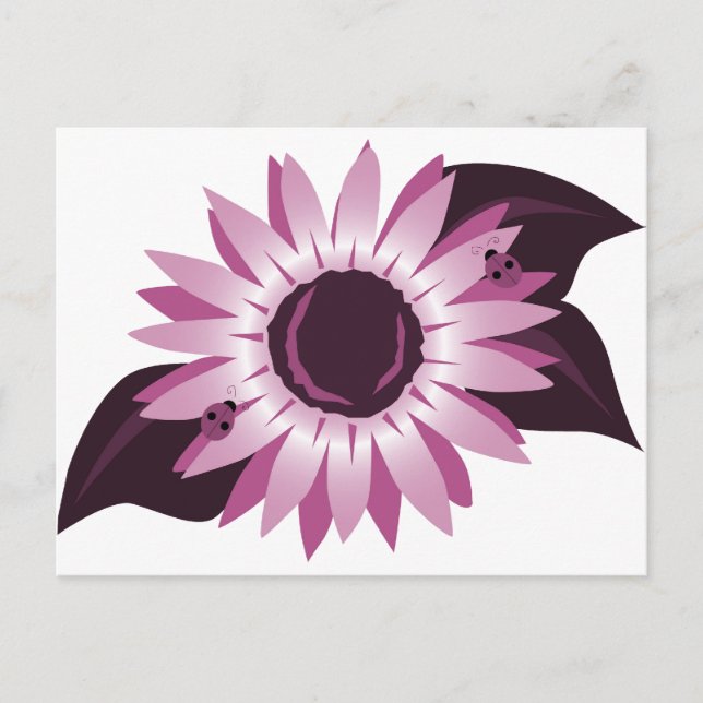 Pink Sunflower With Ladybugs Postcard (Front)