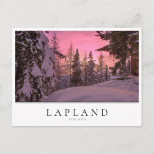 Pink sunset in Lapland, Finland Postcard