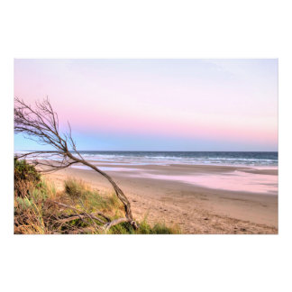 Pink Sunset Photo Print