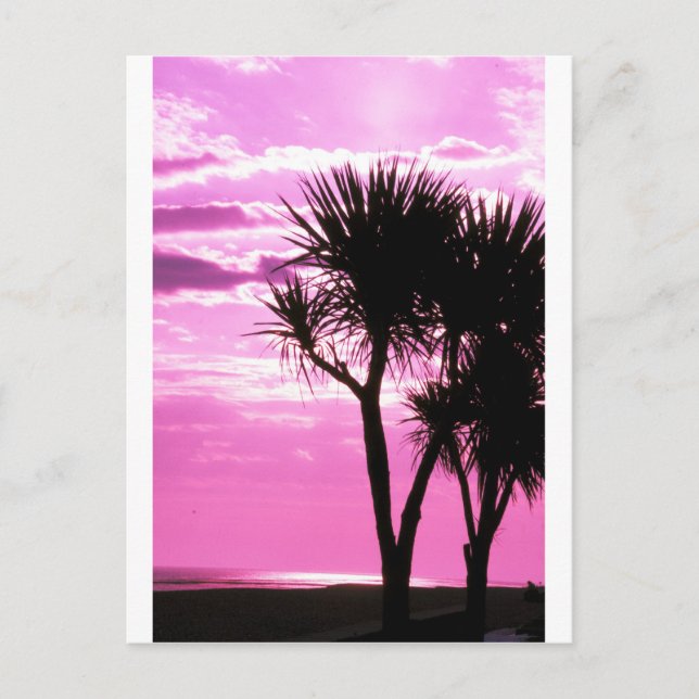 pink sunset postcard (Front)