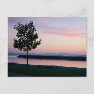 Pink Sunset Postcard