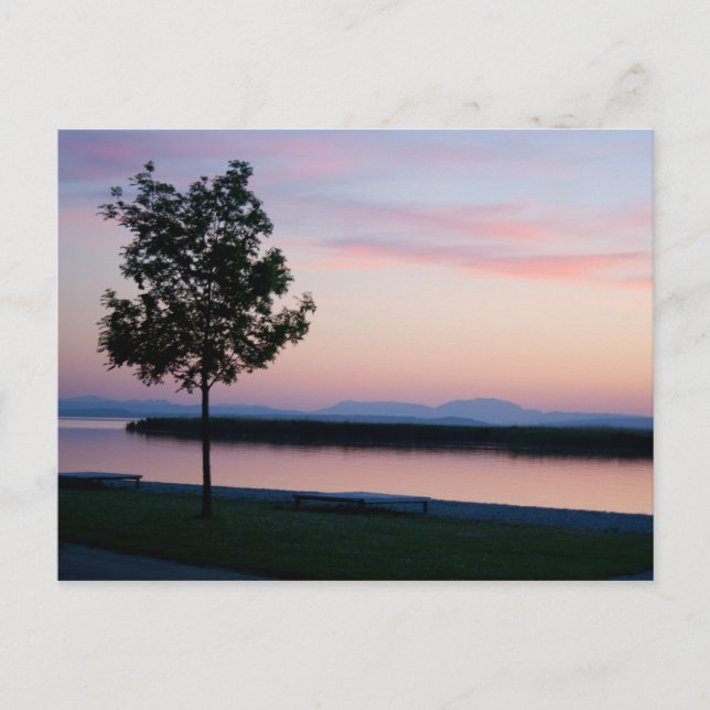 Pink Sunset Postcard (Front)