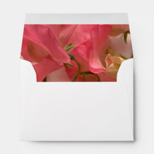 Pink sweet peas full envelope