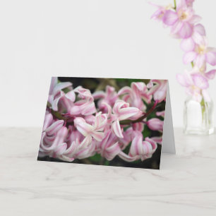Pink Sweet Smelling Fragrant Hyacinth Card