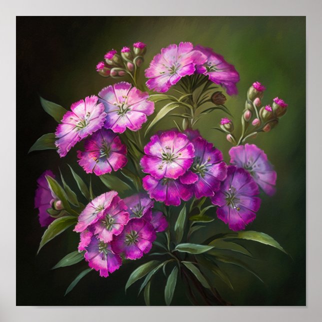Pink Sweet William Flower Art Print Poster (Front)