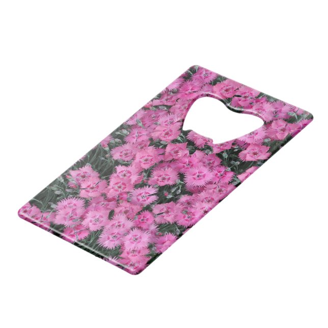 Pink sweet william flowers (Front Angled)