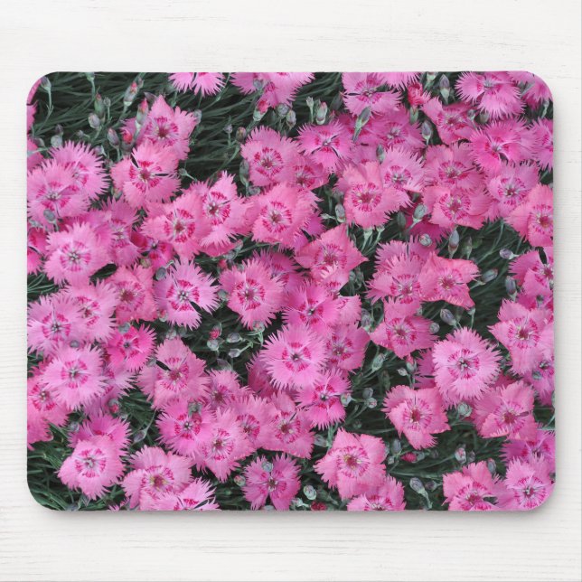 Pink sweet william flowers mouse pad (Front)