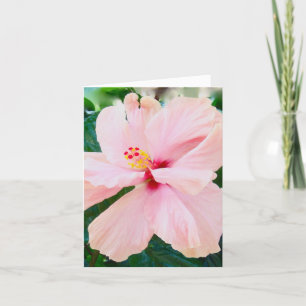 Pink Sympathy Card