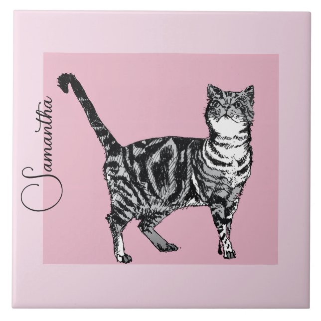 Pink Tabby Cat Cats Pastel Pink Girls Name Tile (Front)