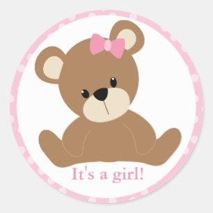 Pink Teddy Bear Classic Round Sticker