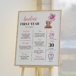 Pink Teddy Bear First Birthday Milestone Sign