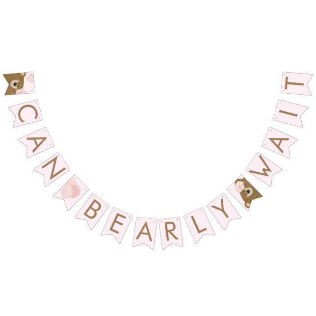 Pink Teddy We Can Bearly Wait Girl Baby Shower Bunting (All)