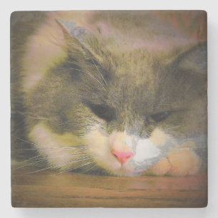Pink the Cat Sullen Mood Sad Kitty Stone Coaster