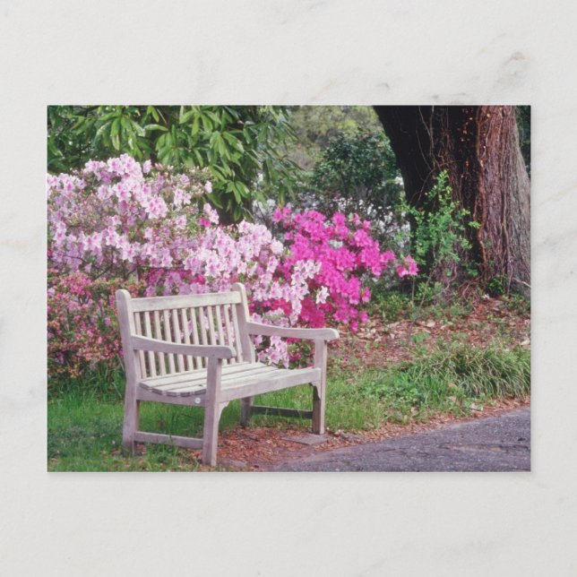 Pink The garden bench flowers Postcard (Front)