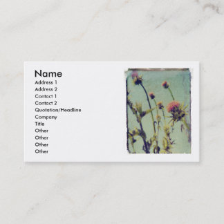 Pink Thistle profile card