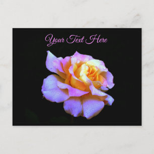Pink Tie Dyed Rose Postcard *customise*