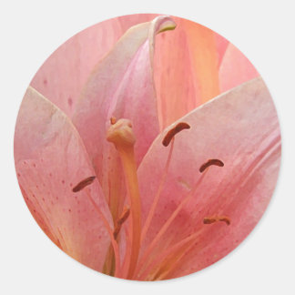 Pink Tiger Lily Classic Round Sticker