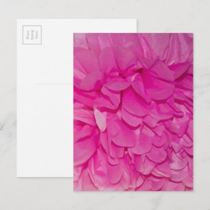 Pink Tissue Paper Flower Realistic Texture Photo Postcard