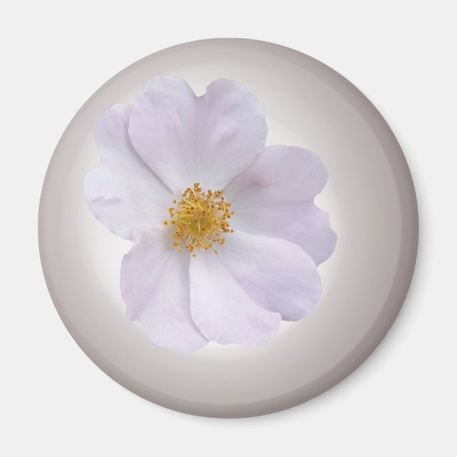 pink to purple magnet (Front)