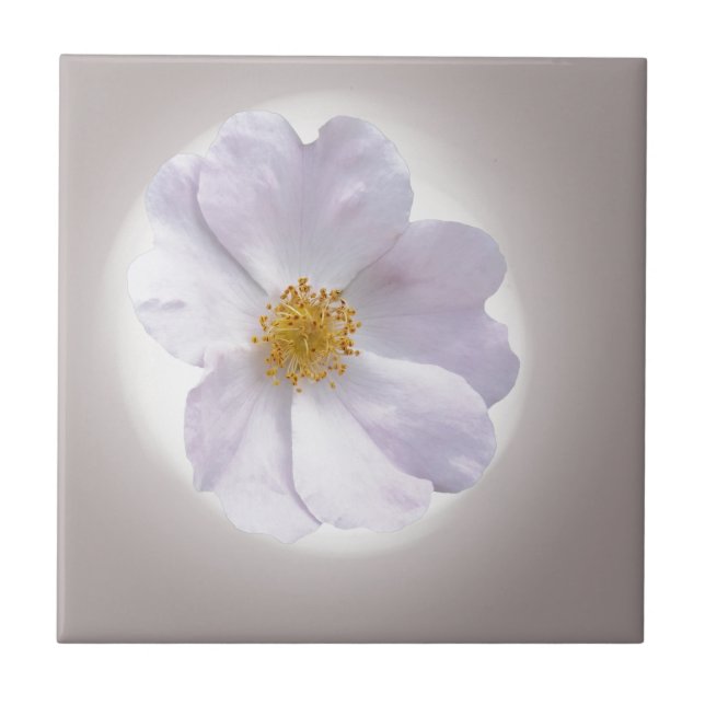 pink to purple tile (Front)