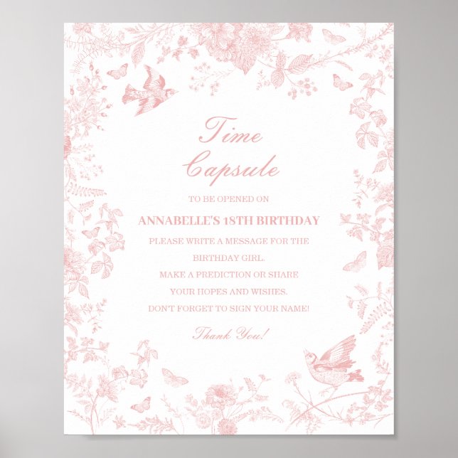 Pink Toile De Jouy Time Capsule Baby Birthday Game Poster (Front)