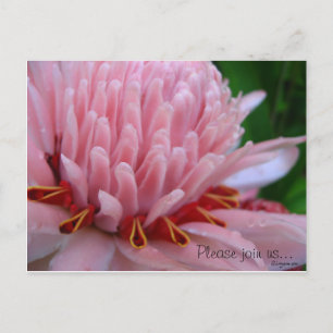Pink Torch Ginger Wedding Save the Date Cards