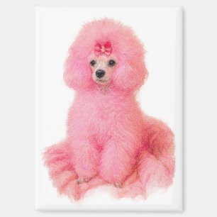 pink toy poodle magnet, pink poodle, refrigerator magnet