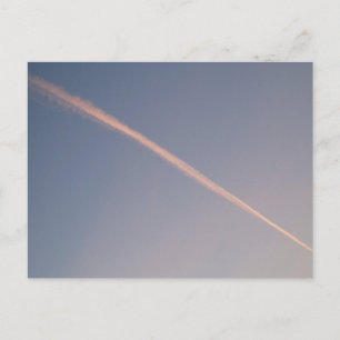 Pink Trail Postcard